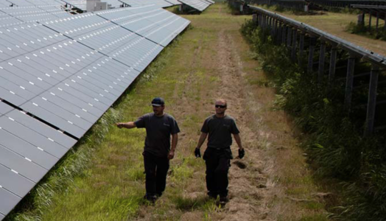 The WEC Energy Group presents plans for the Paris solar battery park

