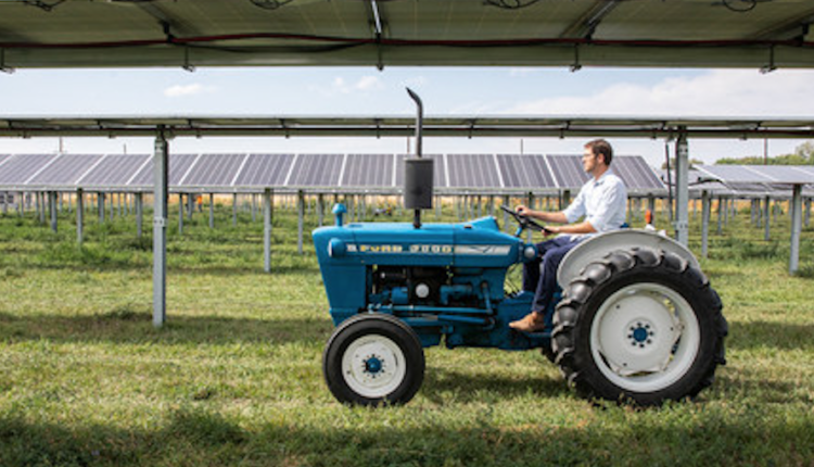 Solar FlexRack supplies trackers for the largest US agrivoltaic research project

