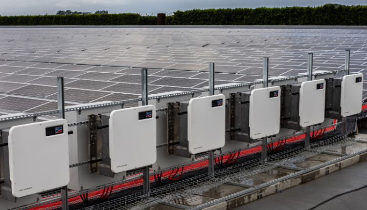 Sungrow, Sineng Electric, and FIMER India - Top Inverter Suppliers in 2021
