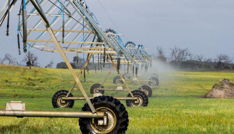 Irrigation in Tasmania