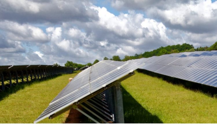 Tauhei Solar Farm
