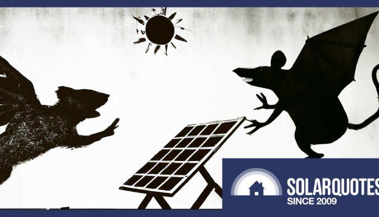 Preventing pests from damaging solar panels