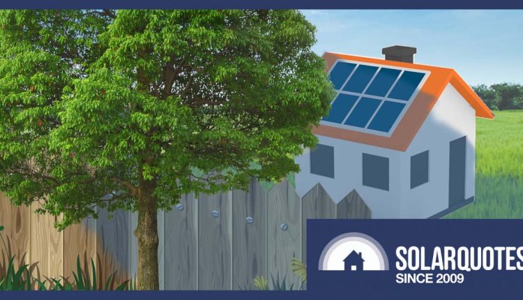 Overshadowing trees vs solar panels