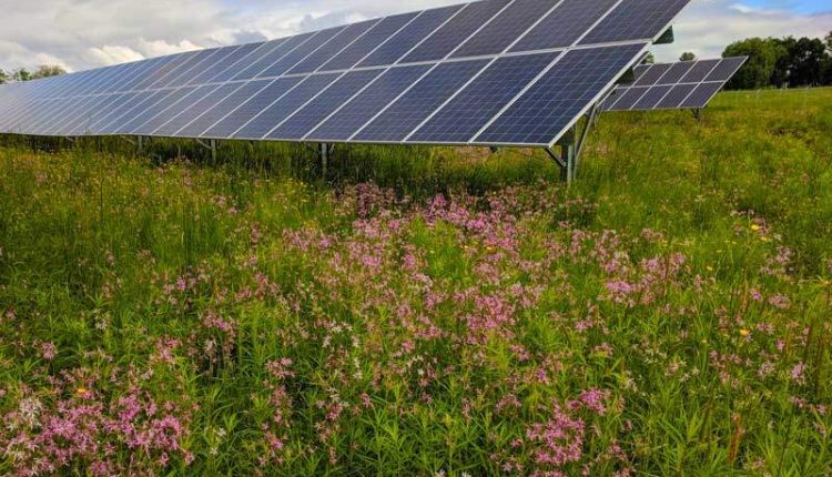 Solar Company Eyes Goshen for 30-Acre Solar Array