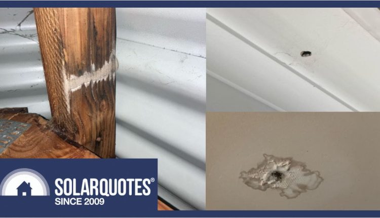 roof leaks