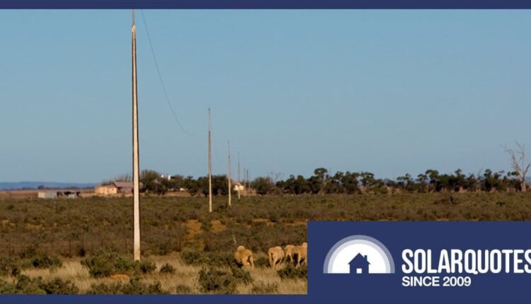 Flexible solar exports in South Australia