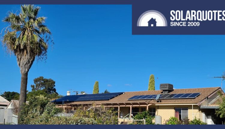 palm tree shading solar panels on a roof