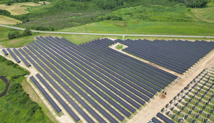 Common myths about solar farms debunked

